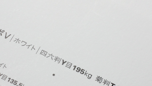 ヴァンヌーボV-FS(全3色)