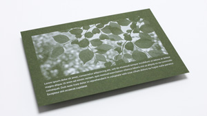 葉っぱイメージのDM